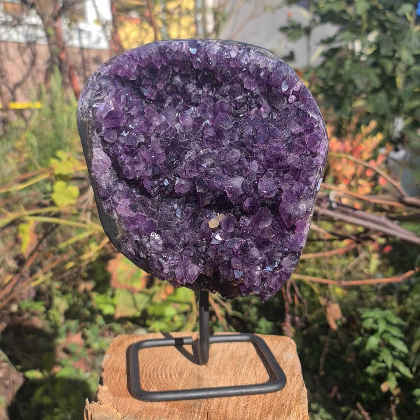 Amethyst Druse auf Ständer 