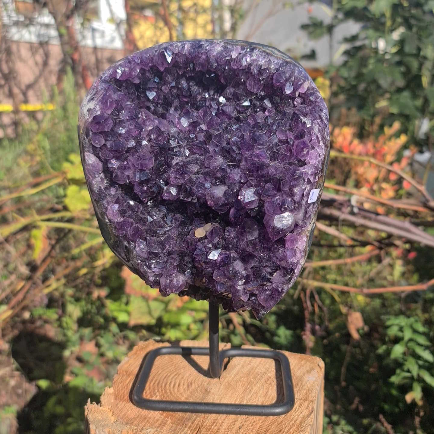 Amethyst Druse auf Ständer 