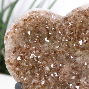 Amethyst Druse Amethyst Geode in Herzform mit Metallsockel 11x11cm - NR-11 auf weißem Hintergrund