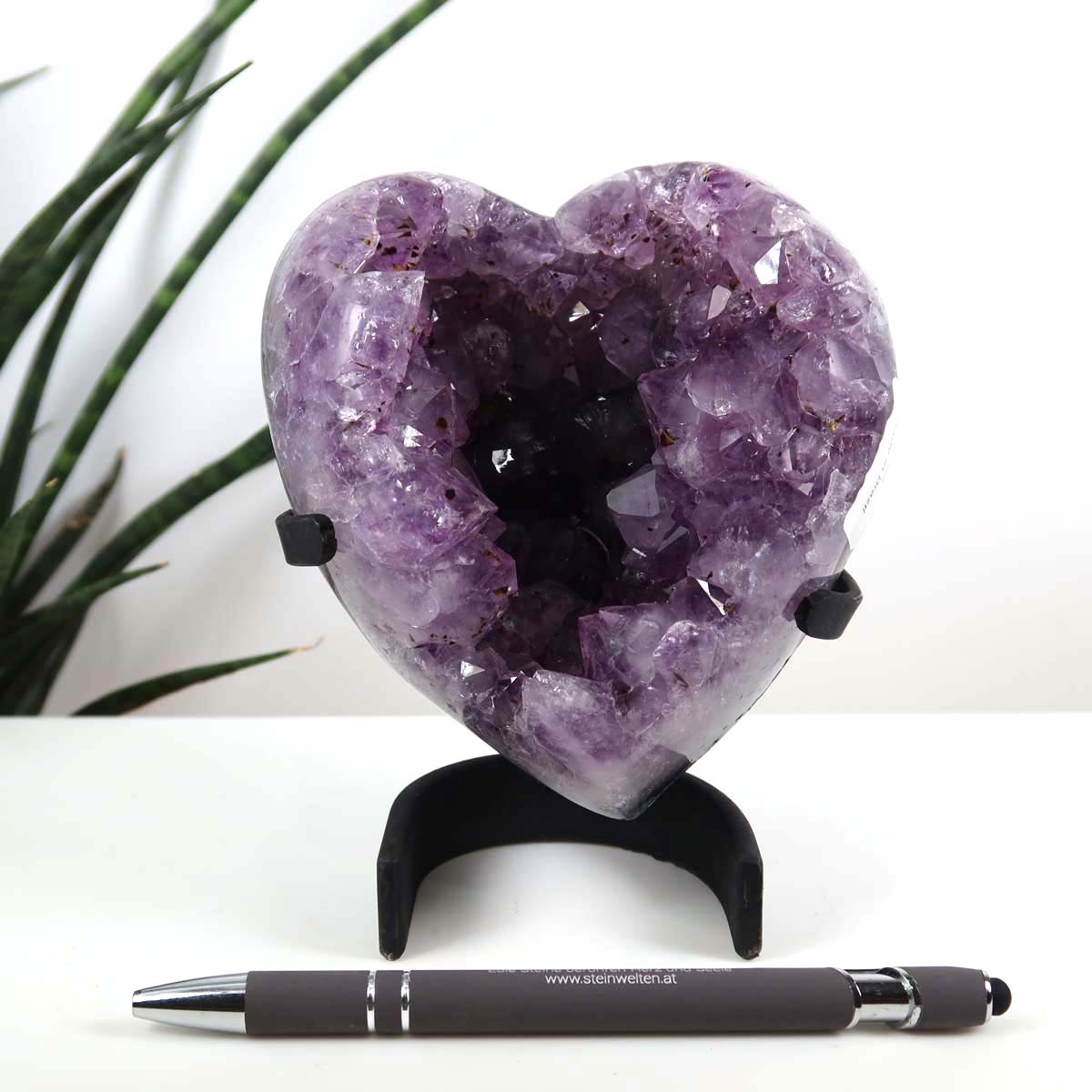 Amethyst Druse Amethyst Geode in Herzform mit Metallsockel 10x11cm - NR-13 auf weißem Tisch vor Pflanzen