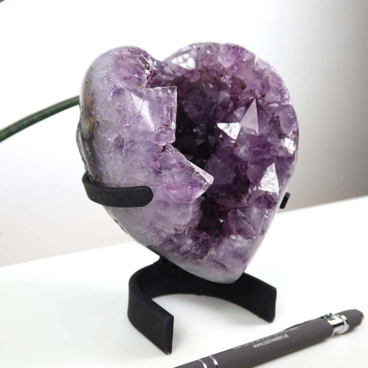 Amethyst Druse Amethyst Geode in Herzform mit Metallsockel 10x11cm - NR-13 auf weißem Tisch vor Pflanzen
