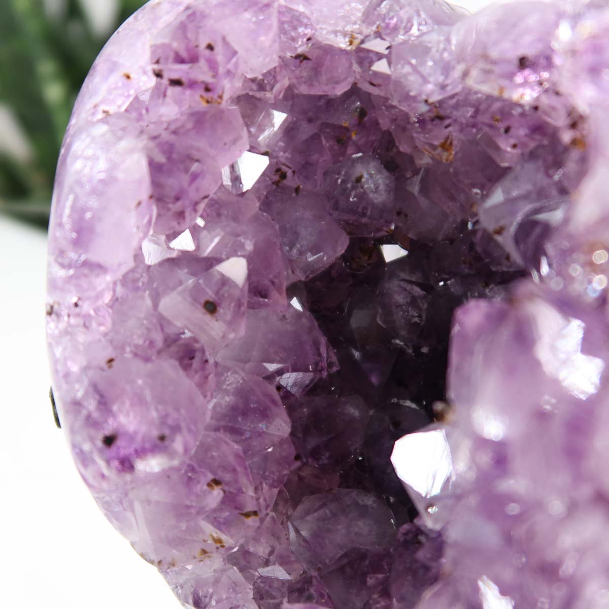 Close-up view of the Amethyst Druse Amethyst Geode in Herzform mit Metallsockel 10x11cm - NR-13, showing vibrant purple crystals.