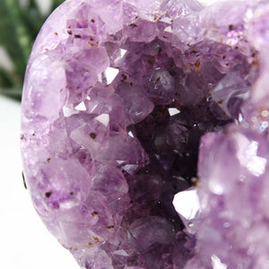 Close-up view of the Amethyst Druse Amethyst Geode in Herzform mit Metallsockel 10x11cm - NR-13, showing vibrant purple crystals.