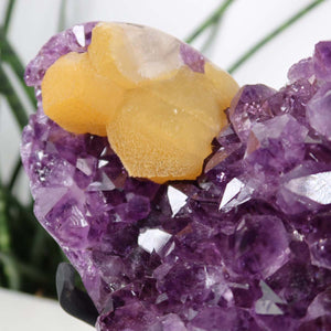 Amethyst Druse Amethyst Geode in Herzform mit Metallsockel 16x12cm - NR-15, featuring deep violet crystals and unique heart shape