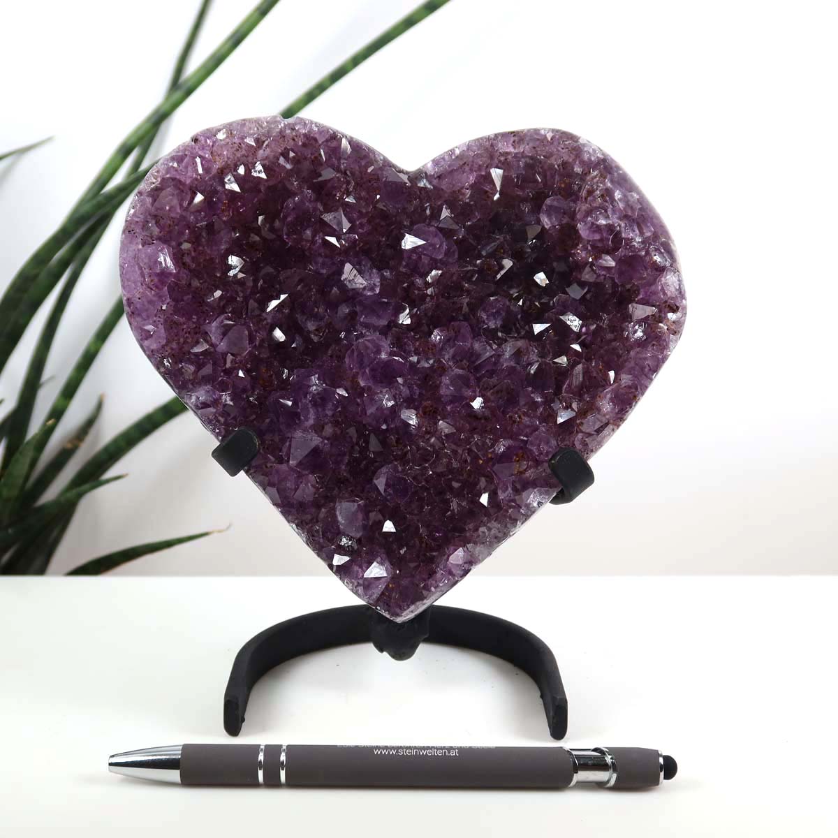 Amethyst Druse Amethyst Geode in Herzform mit Metallsockel 15x15cm - NR-18 auf schwarzem Ständer vor Pflanze
