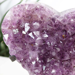 Amethyst Druse Amethyst Geode in Herzform mit Metallsockel 15x12cm - NR-19, showing vibrant purple crystals in heart shape.