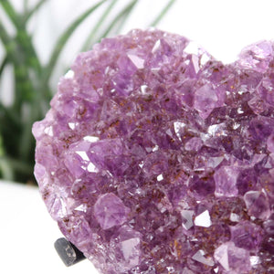 Amethyst Druse Amethyst Geode in Herzform mit Metallsockel 14x14cm - NR-21, displaying deep purple hues and sparkling crystal formations.