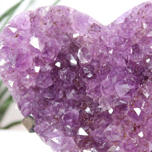 Amethyst Druse Amethyst Geode in Herzform mit Metallsockel 14x12cm - NR-24, showing vibrant purple crystals and heart shape.