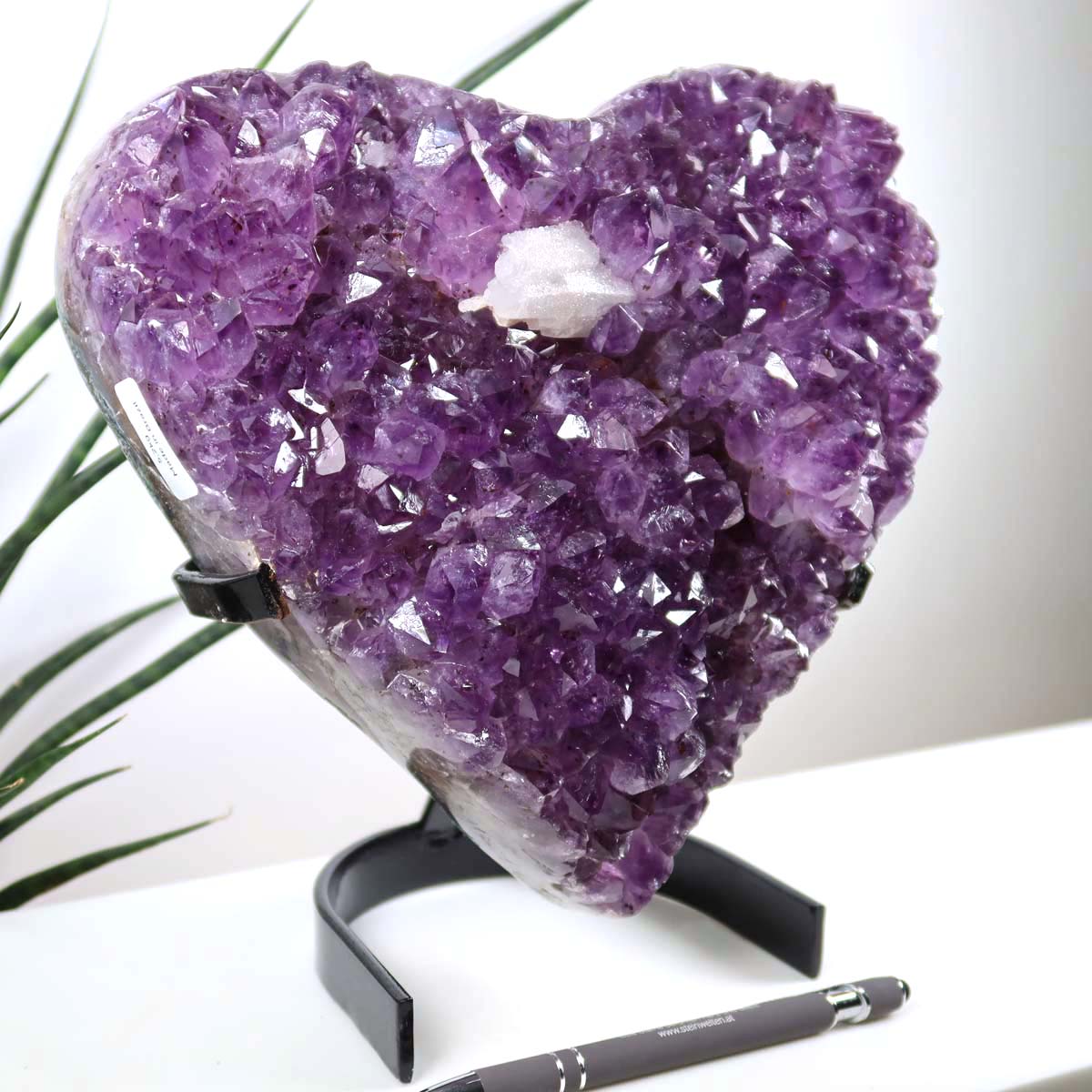 Amethyst Druse Amethyst Geode in Herzform mit Metallsockel 21x20cm - NR-25, auf schwarzem Ständer mit Pflanzen im Hintergrund.