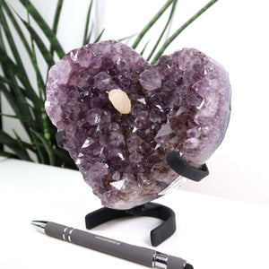 Amethyst Druse Amethyst Geode in Herzform mit Metallsockel 14x13cm - NR-3 auf einem Tisch vor Pflanzen