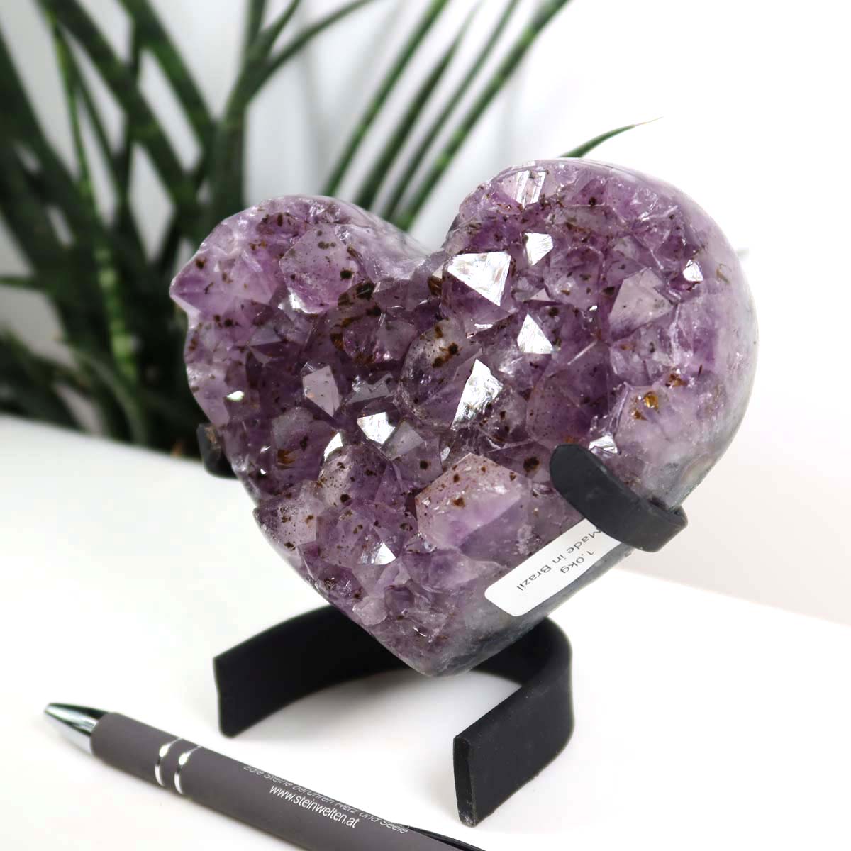 Amethyst Druse Amethyst Geode in Herzform mit Metallsockel 10x10cm - NR-4 auf weißem Hintergrund mit Pflanzen und Stift