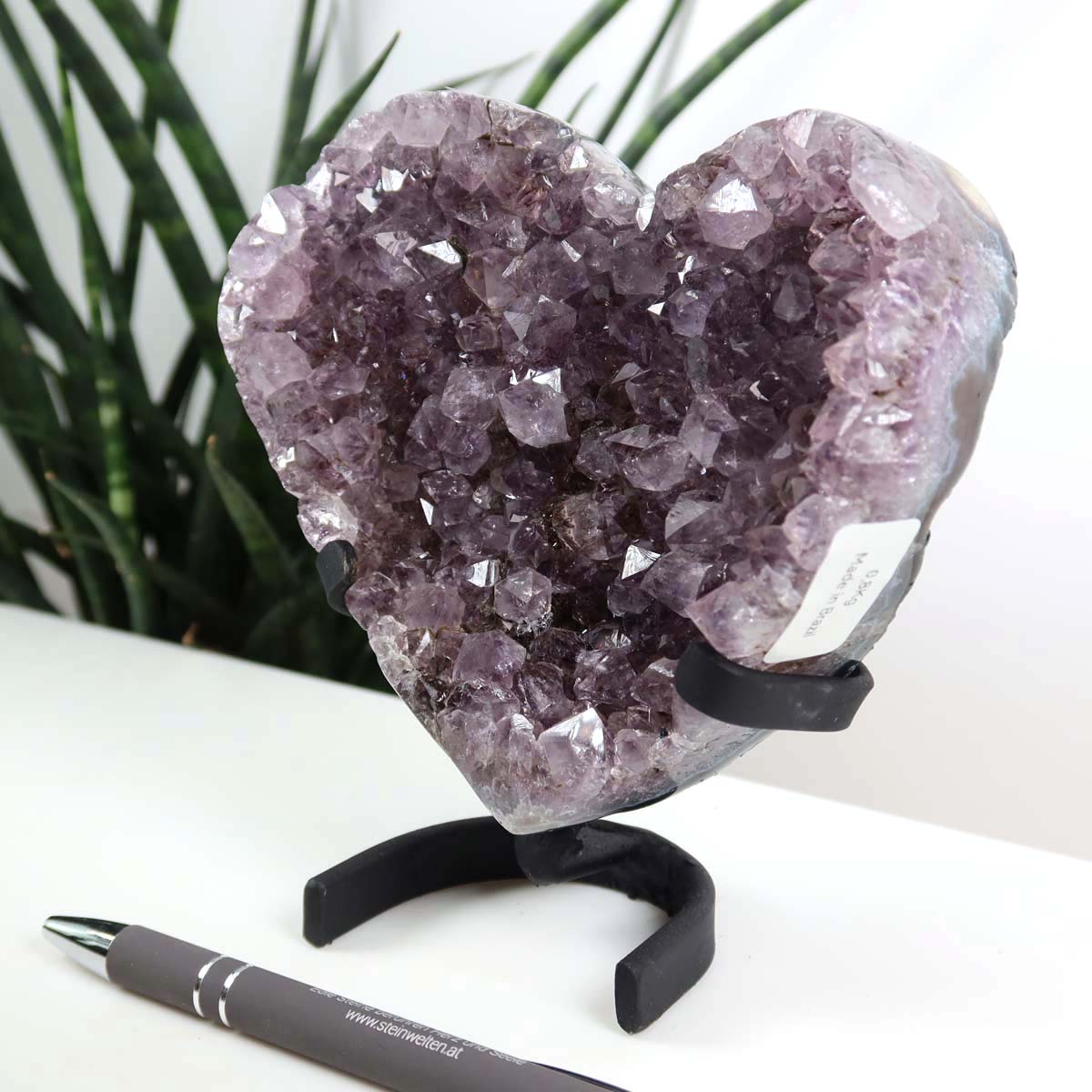 Amethyst Druse Amethyst Geode in Herzform mit Metallsockel 13x11cm - NR-5 auf einem Tisch vor Pflanzen