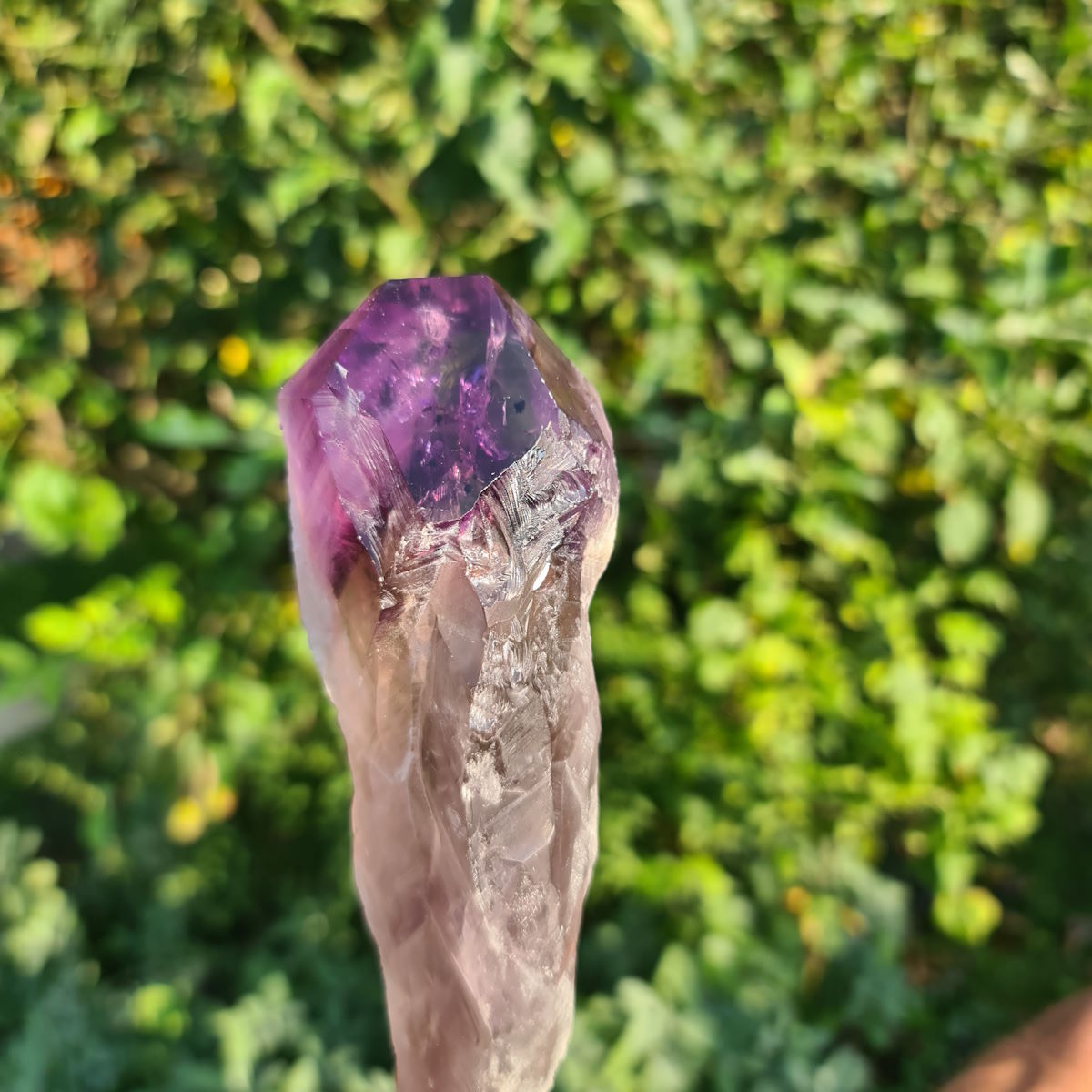 Amethyst Kristall von Steinwelten 