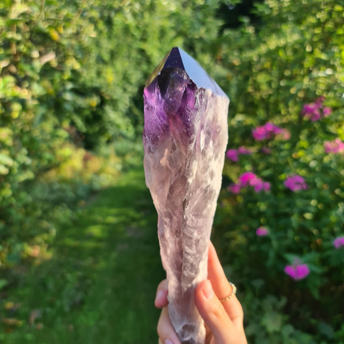 Amethystspitzen von Steinwelten 