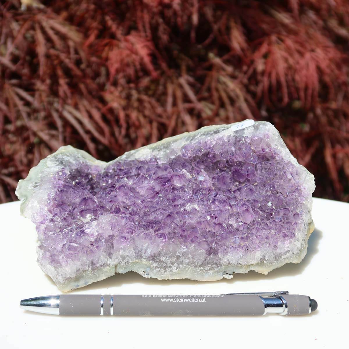 Hand holding Amethyst Drusen Stück 1A Qualität, 17x12cm, showcasing deep purple crystals and natural beauty against a lush background.