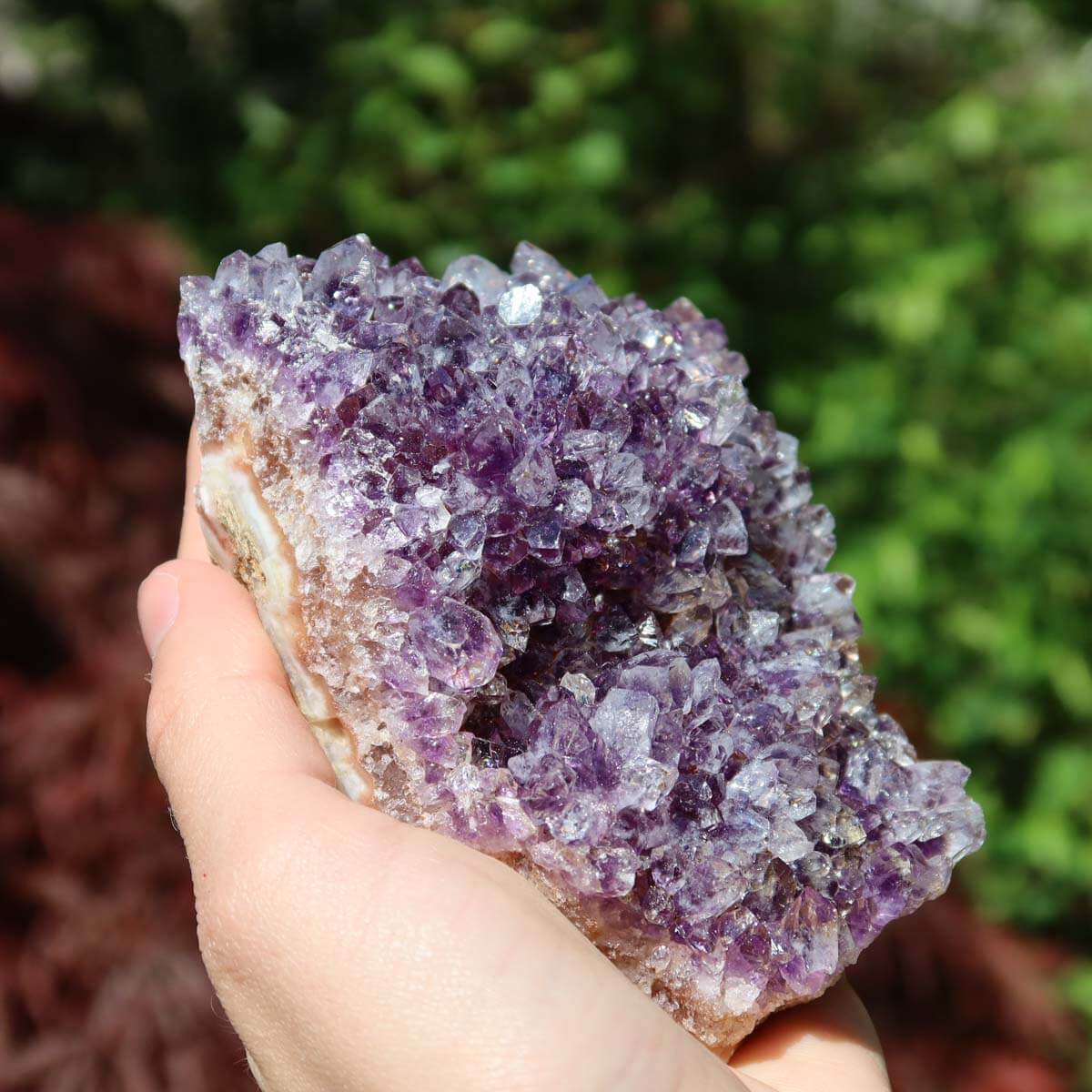 Hand holding an Amethyst Drusen piece, showcasing sparkling purple crystals, ideal for harmony and spiritual transformation.