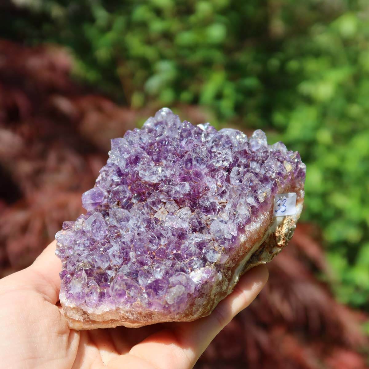 Hand holding an Amethyst Drusen piece, showcasing sparkling purple crystals, ideal for harmony and spiritual transformation.