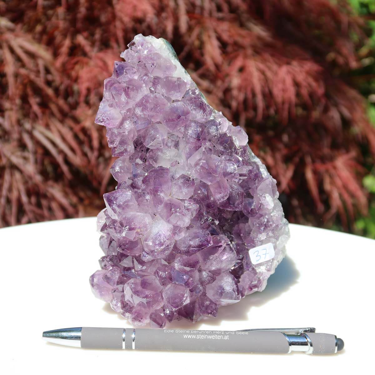 Amethyst Druse Unikat Nr. 37 aus Uruguay, 14x11cm, hochwertige Qualität, ideal für Harmonie und Spiritualität, im Onlineshop kaufen.