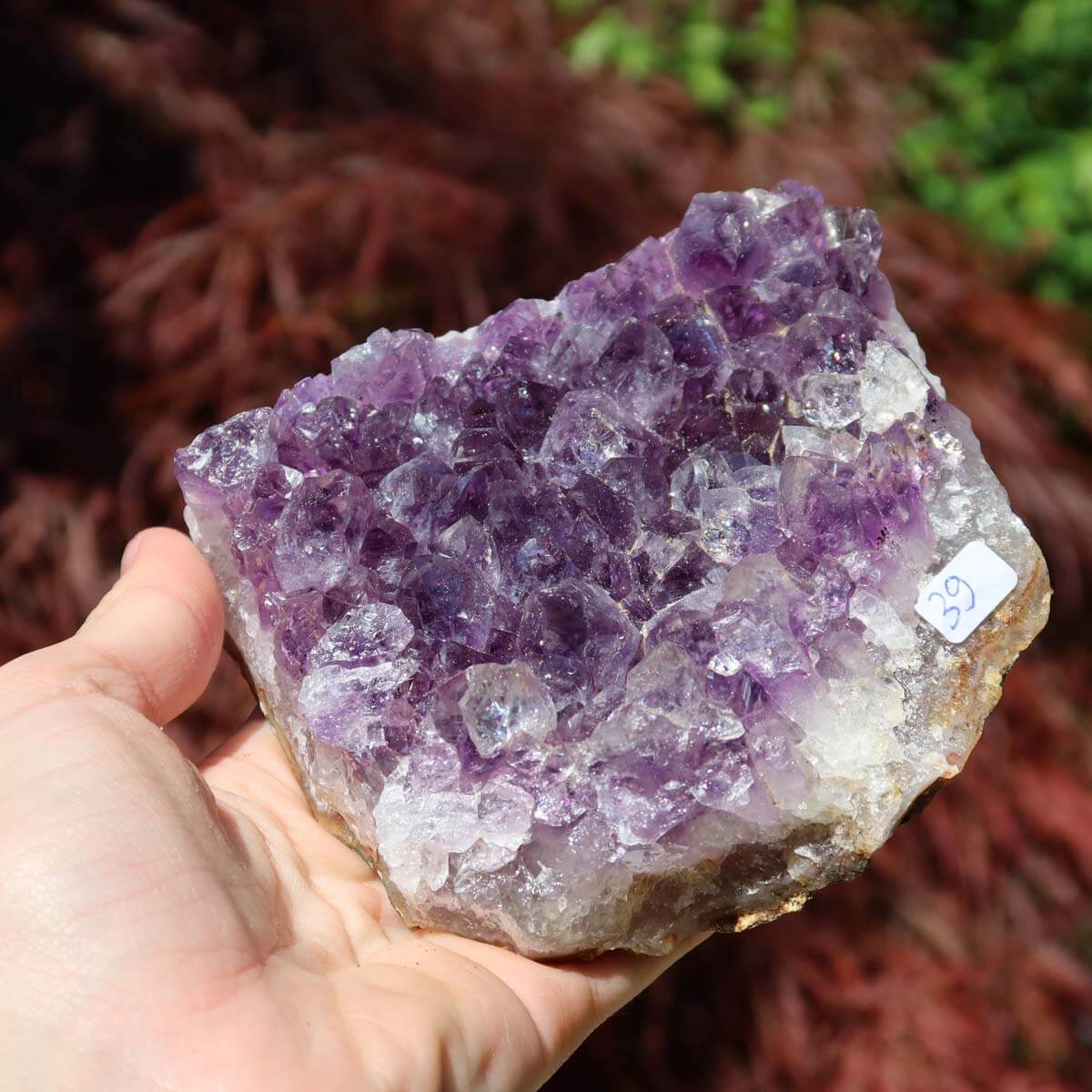 Amethyst Drusen Stück 1A Qualität aus Uruguay, einzigartige Geode in der Hand, Onlineshop kaufen.