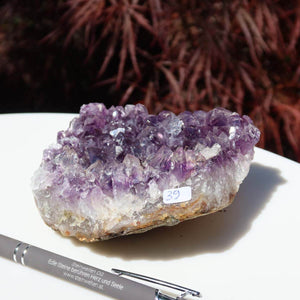 Exklusiver 10x10cm Amethyst Drusen-Unikat aus Uruguay, Qualität 1A, präsentiert auf weißem Hintergrund mit einem Stift. Online Shop kaufen.