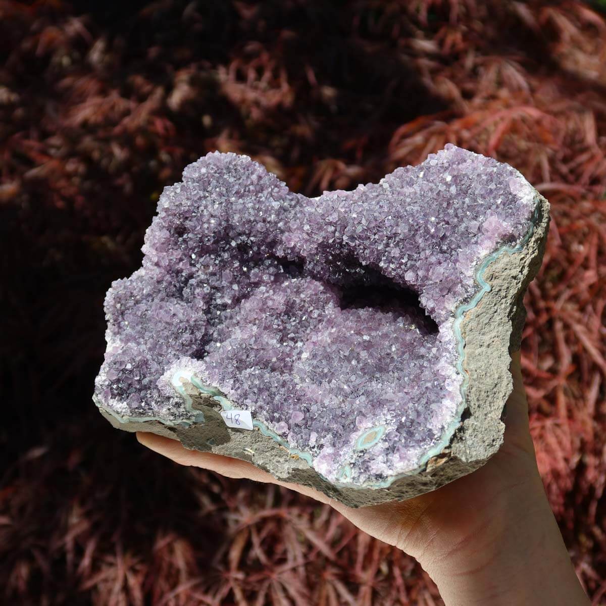 Amethyst Druse 1A Qualität 18x15cm, einzigartige Geode für Harmonie und Spiritualität. Online kaufen im Shop.