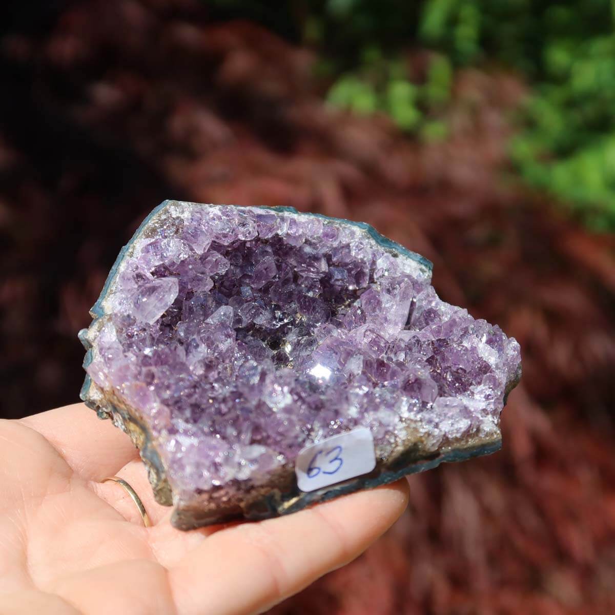 Amethyst Drusen complete in held hand displaying unique crystal formation with purple hues, labeled 63, on a natural blurred background.