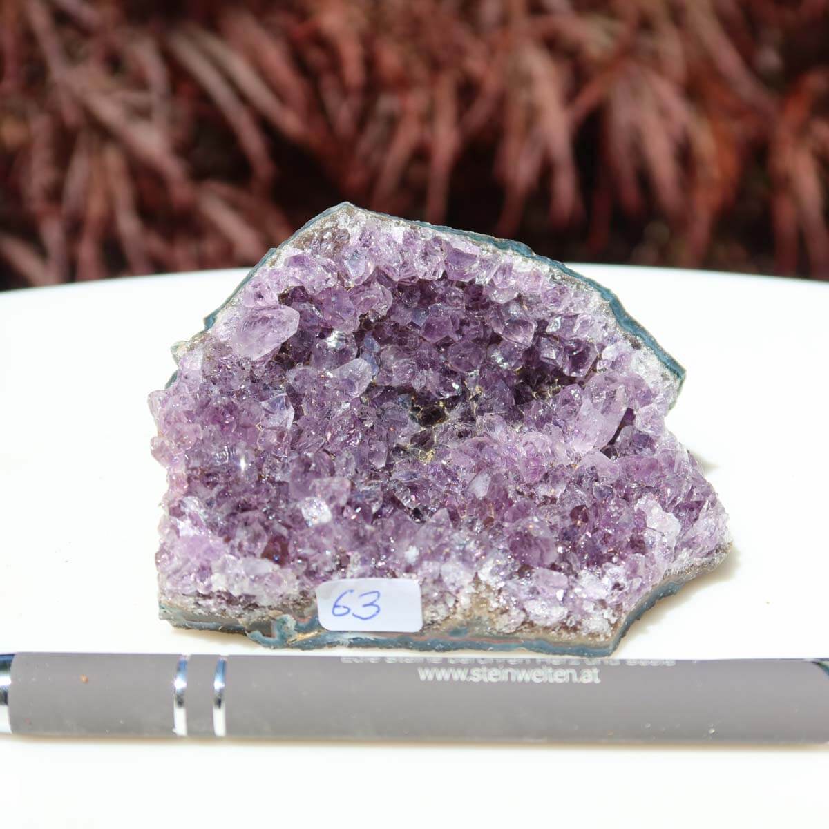 Amethyst Drusen complete in held hand displaying unique crystal formation with purple hues, labeled 63, on a natural blurred background.
