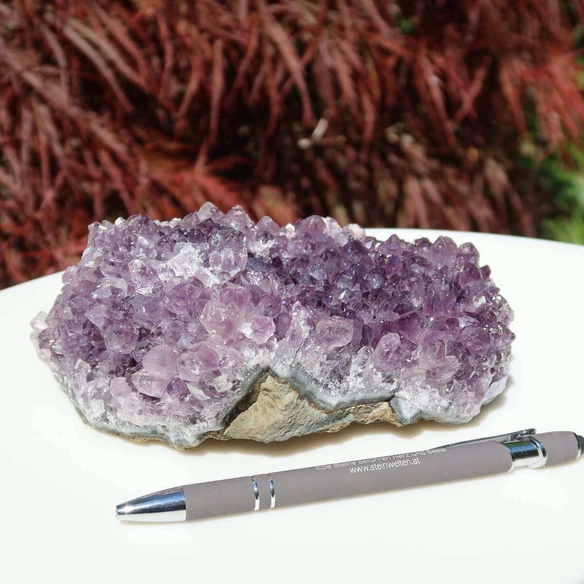 Amethyst druse on white plate, showcasing purple crystals with pen for size comparison, promoting harmony and transformation.