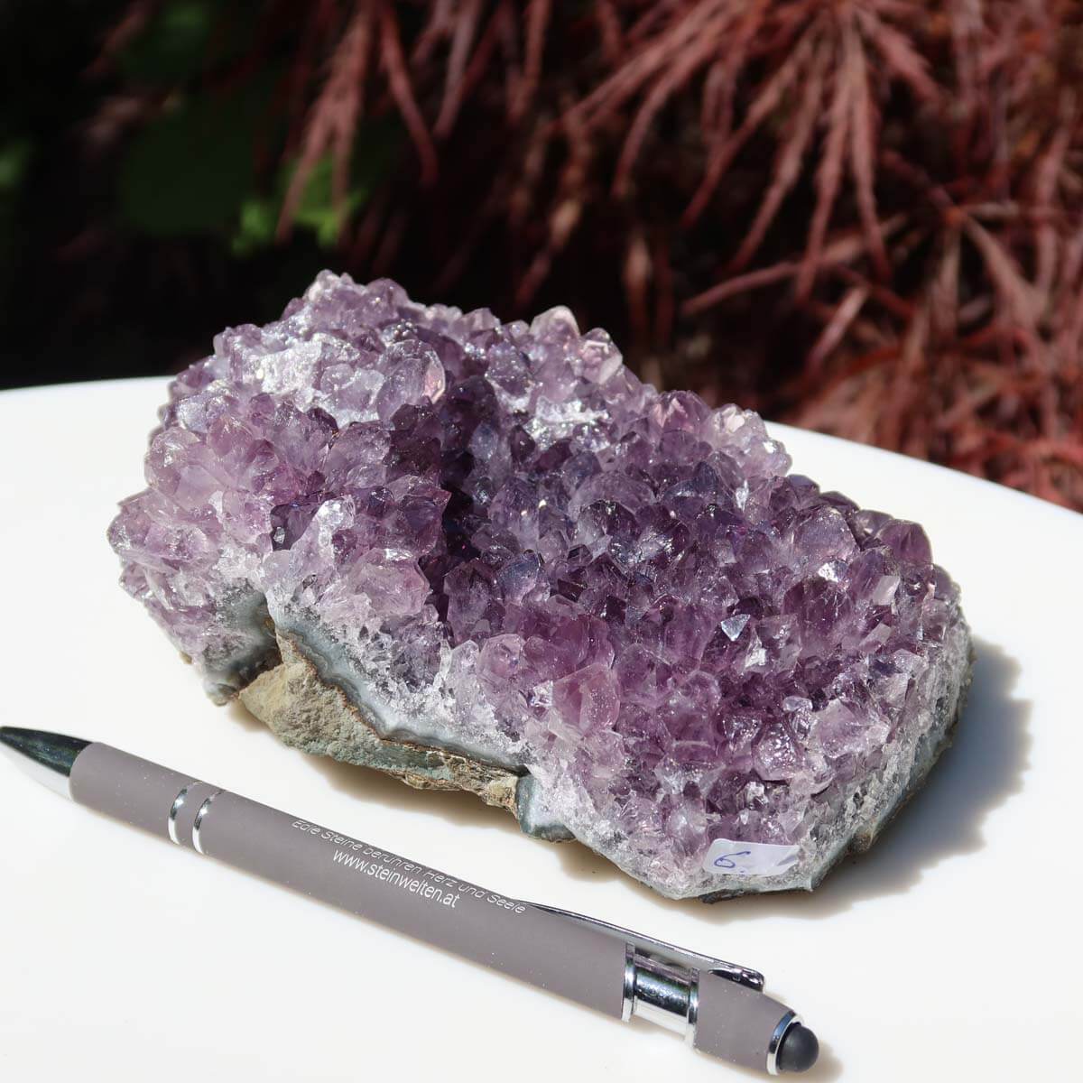 Amethyst druse on white plate, showcasing purple crystals with pen for size comparison, promoting harmony and transformation.