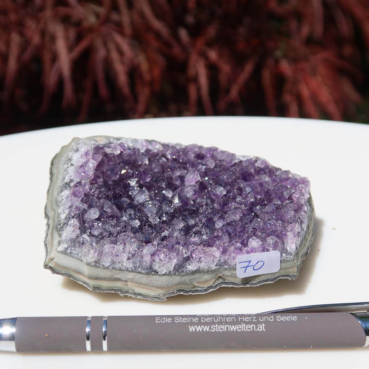 Hand holds an Amethyst Drusen 1A Quality with rich purple crystals against a natural red-brown blurred background.