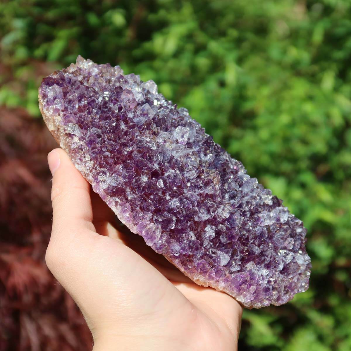 Amethyst druse 1A quality, 14x9cm, unique piece No. 7, held by hand against a natural green background.