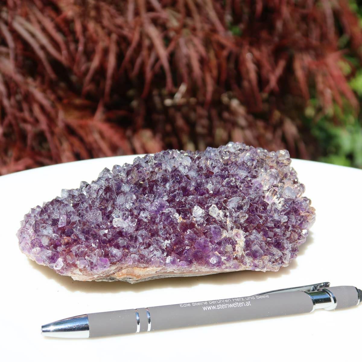 Amethyst druse 1A quality, 14x9cm, unique piece No. 7, held by hand against a natural green background.