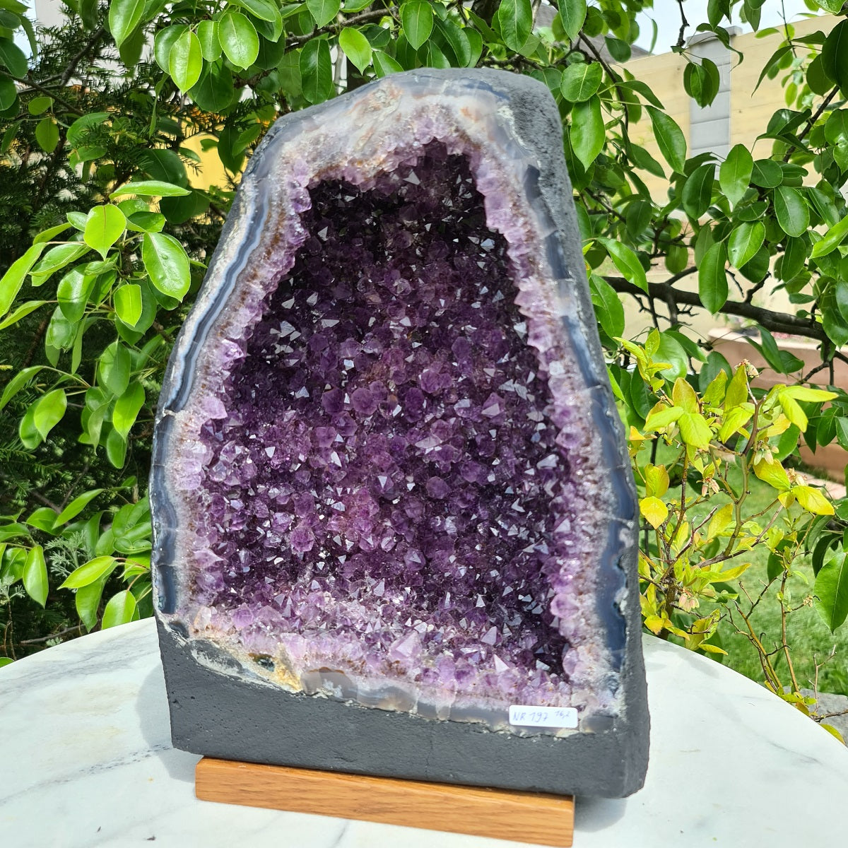 Amethyst Druse Nr. 197