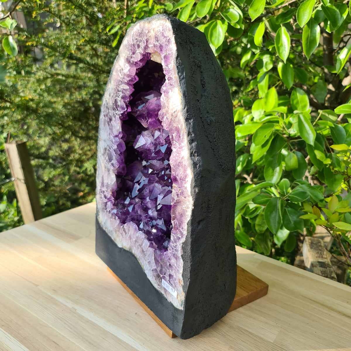 Amethyst Druse kaufen bei Steinwelten Nr. 163