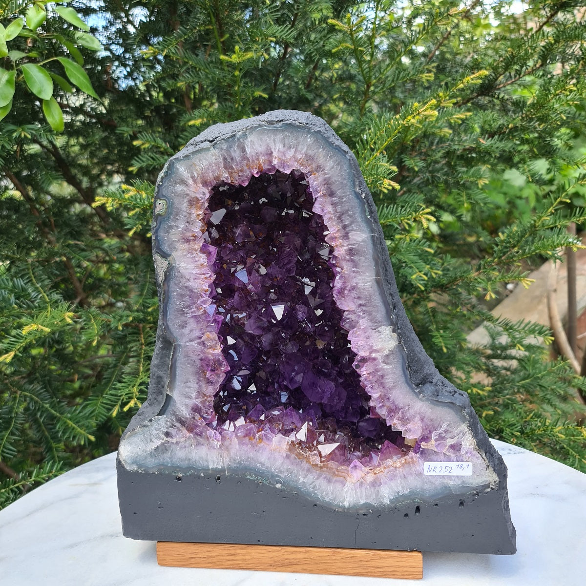 Amethyst Mineralien Fachgeschäft Graz Nr. 252