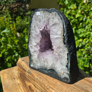 Amethyst Druse – Geode - 21x17x14cm und 7,4kg – Steinwelten OG - Nr. 115 displayed outdoors with vibrant crystals