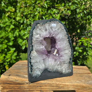 Amethyst Druse – Geode - 22x18x14cm und 7,2kg – Steinwelten OG - Nr. 120 in natural setting with vibrant crystals.