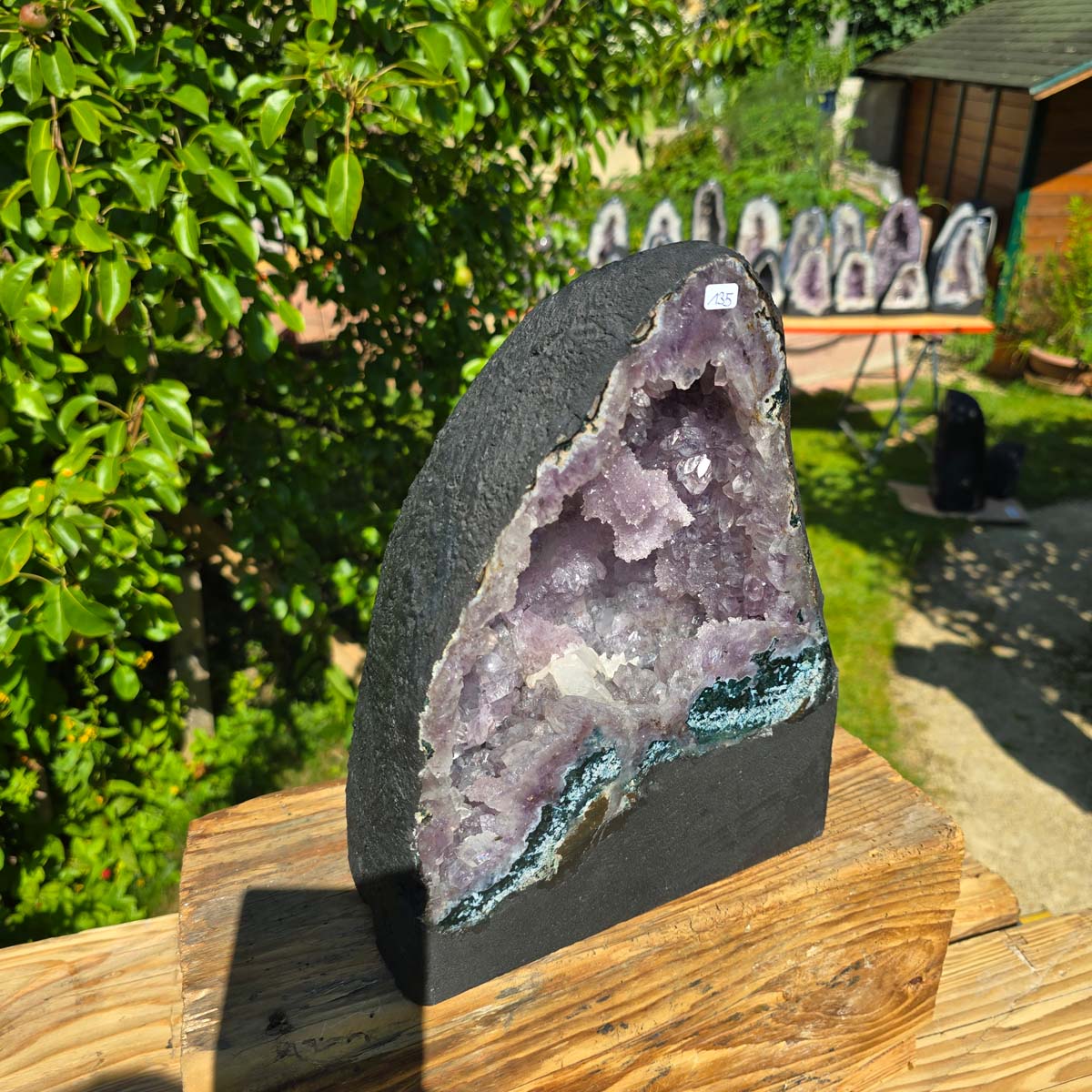 Amethyst Druse – Geode - 29x23x18cm und 13kg – Steinwelten OG - Nr. 135 aus Brasilien mit hellen Kristallen.