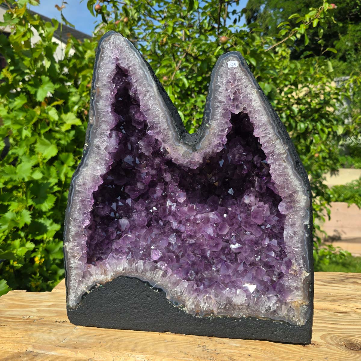 Amethyst Druse – Geode - 45x40x20cm und 36,8kg – Steinwelten OG - Nr. 145, displayed in a natural setting.