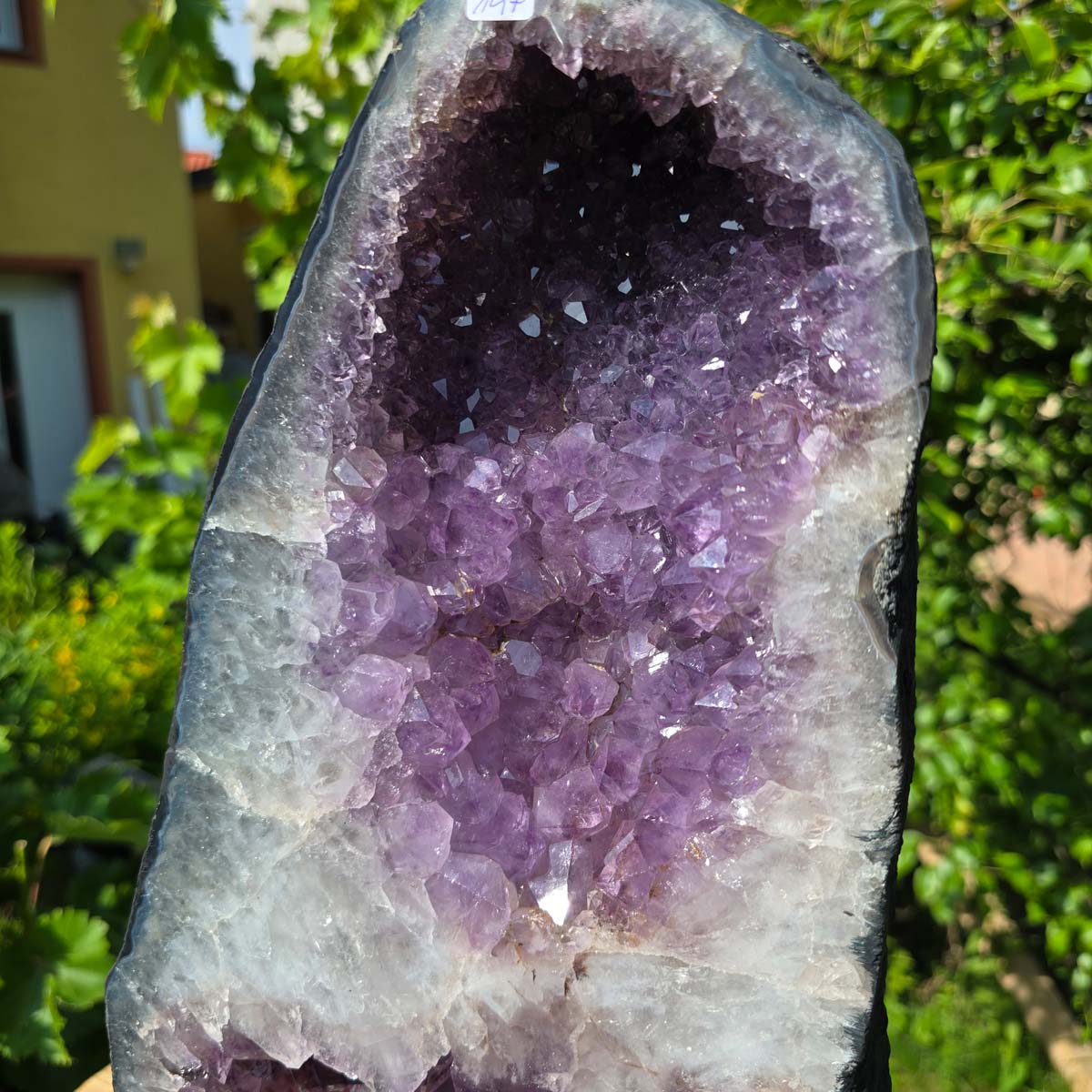 Amethyst Druse – Geode - 48x24x18cm und 21,4kg – Steinwelten OG - Nr. 147, unique amethyst specimen for home and therapy room decor.