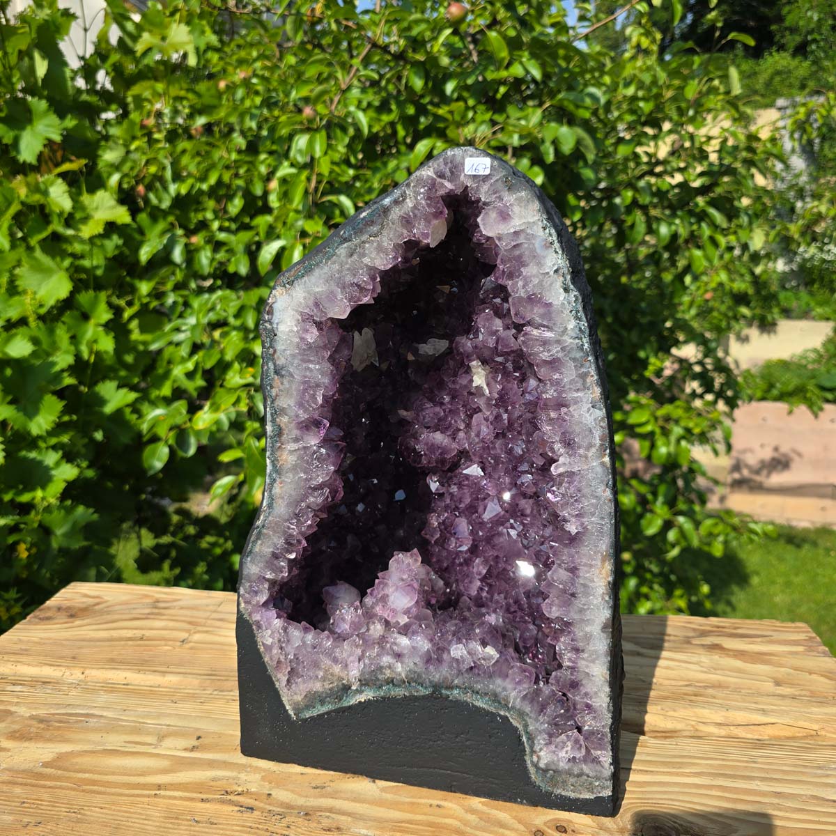 Amethyst Druse – Geode - 38x35x21cm und 21,2kg – Steinwelten OG - Nr. 167 on rustic wooden table, lush garden background