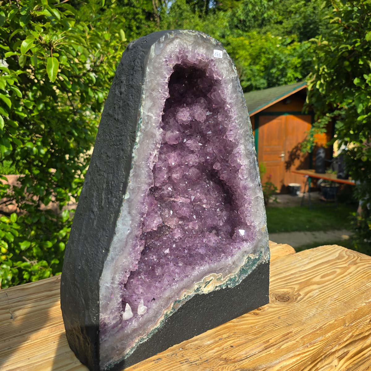 Amethyst Druse – Geode - 37x30x22cm und 23,8kg – Steinwelten OG - Nr. 175, ideal for stylish interiors and unique decor.