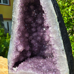Amethyst Druse – Geode - 37x30x22cm und 23,8kg – Steinwelten OG - Nr. 175 showcasing unique crystals for home decor