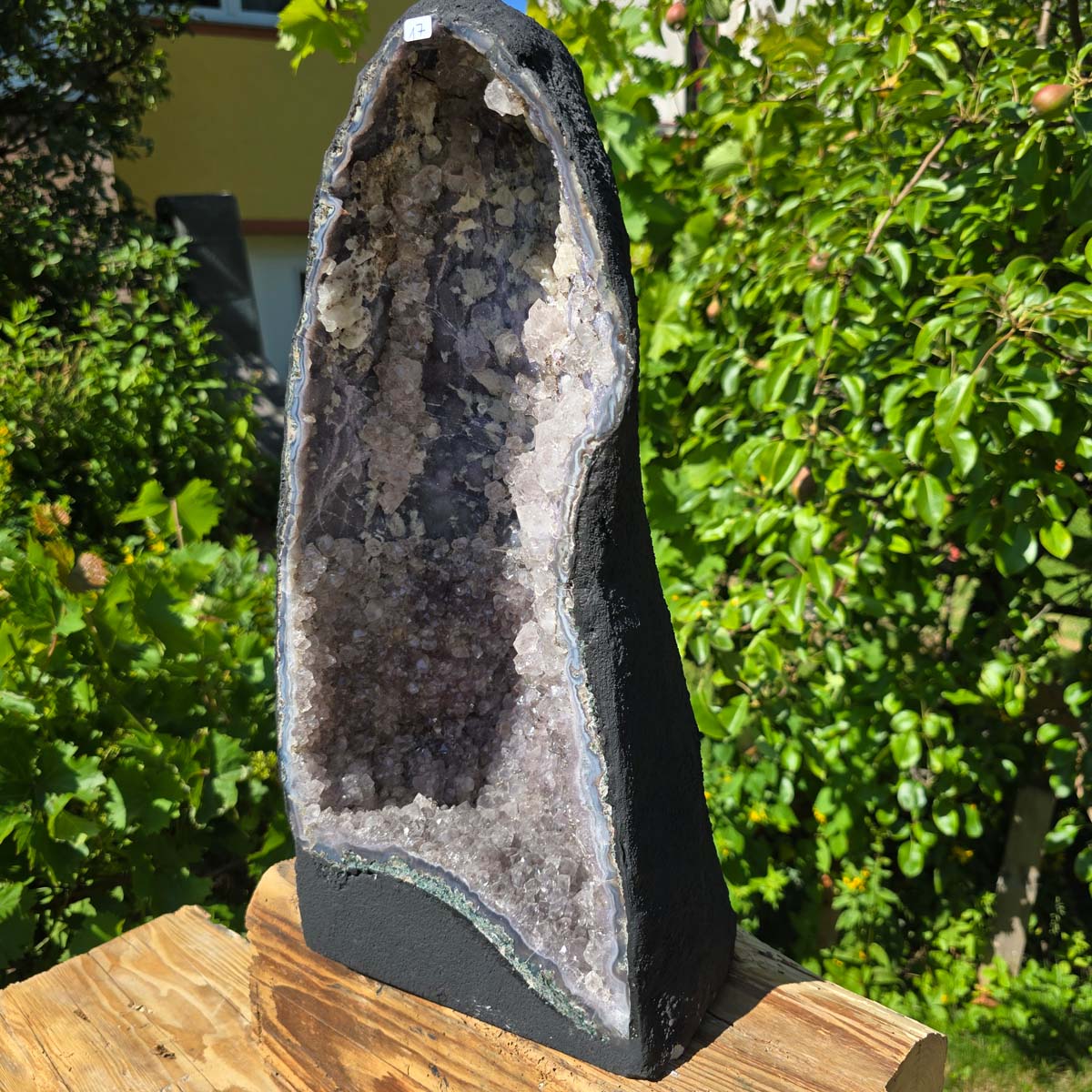 Amethyst Druse – Geode - 48x21x17cm und 12,8kg – Steinwelten OG - Nr. 17, aus Brasilien mit leuchtenden Kristallen auf Holz in Garten