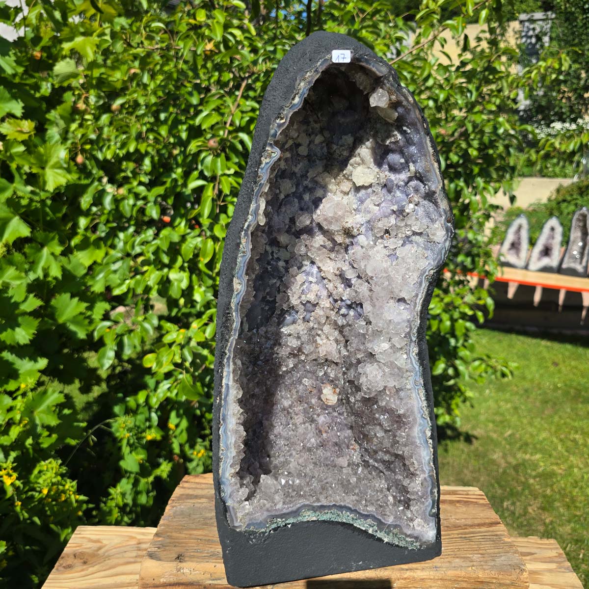 Amethyst Druse – Geode - 48x21x17cm und 12,8kg – Steinwelten OG - Nr. 17, helle, leuchtende brasilianische Kristalle auf Holzuntergrund