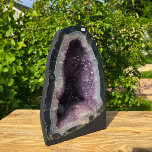 Amethyst Druse – Geode - 35x23x19cm und 17,8kg – Steinwelten OG - Nr. 198 on a wooden table with greenery backdrop