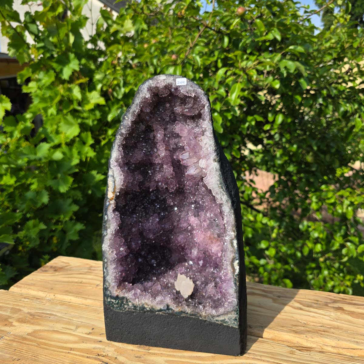 Amethyst Druse – Geode - 38x22x19cm und 14,2kg – Steinwelten OG - Nr. 200, unique gemstone for interior design, nature background