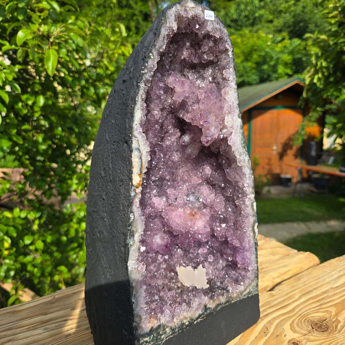 Amethyst Druse – Geode - 38x22x19cm und 14,2kg – Steinwelten OG - Nr. 200, unique decor piece for interior design