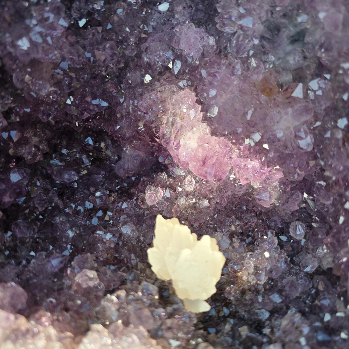 Amethyst Druse – Geode - 38x22x19cm und 14,2kg – Steinwelten OG - Nr. 200 featuring violet crystals and unique formations.