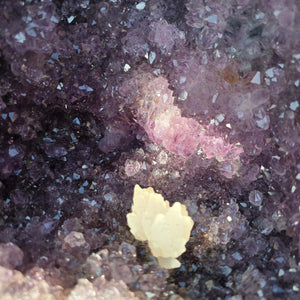 Amethyst Druse – Geode - 38x22x19cm und 14,2kg – Steinwelten OG - Nr. 200 featuring violet crystals and unique formations.